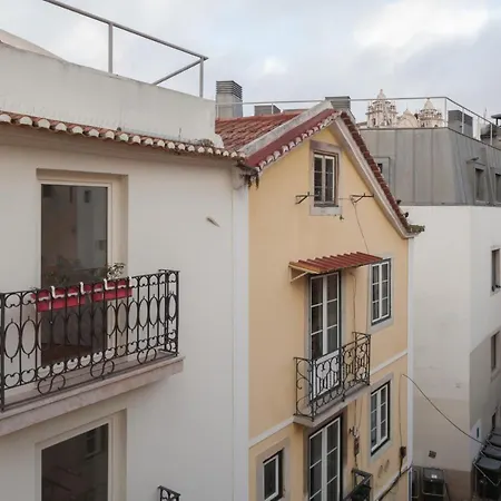 Flh Santa Catarina Typical *